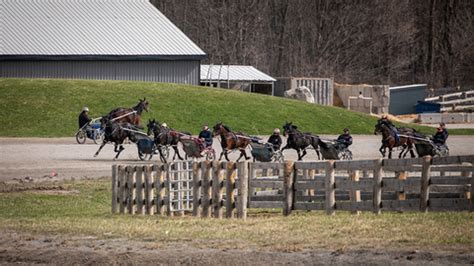 Trackit standardbred canada. Things To Know About Trackit standardbred canada. 